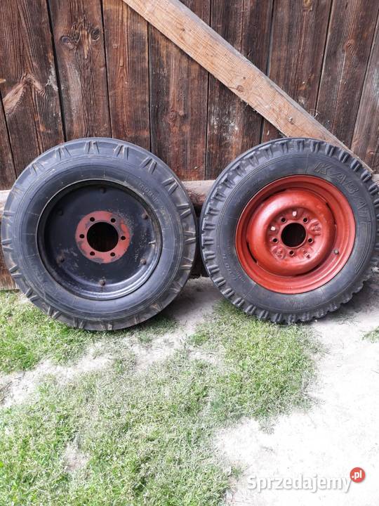 ola 60016 Rolnictwo świętokrzyskie Włoszczowa