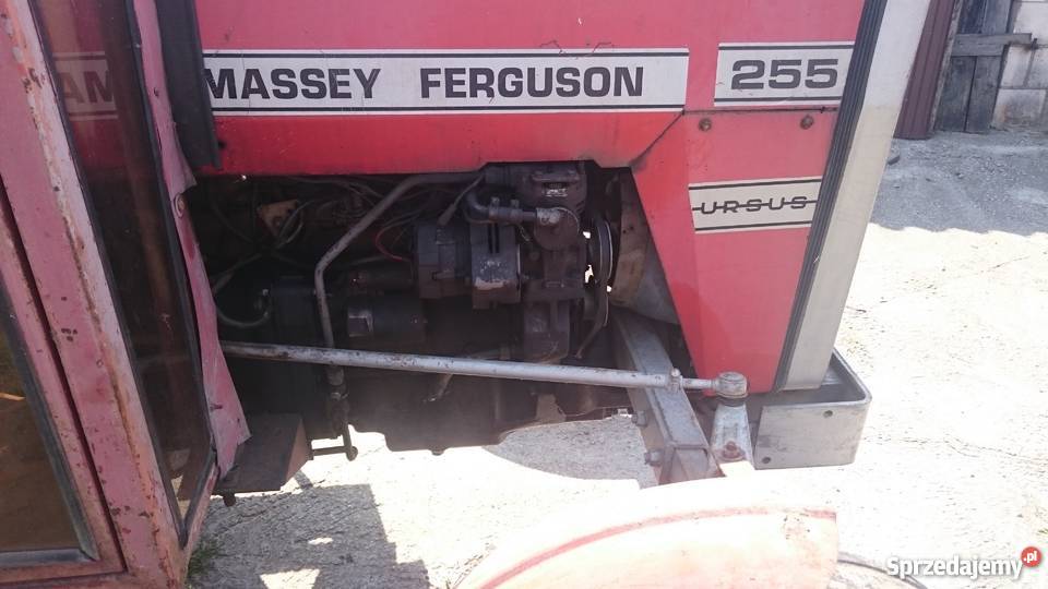 Massey Ferguson 255 lubelskie Zamość