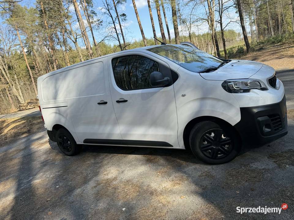 Peugot expert Stary Dzików