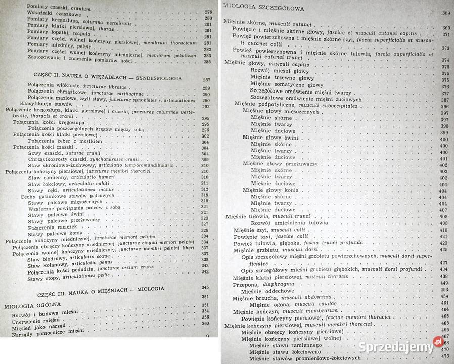 Anatomia zwierząt Tom 1 Kazimierz Krysiak Chełm