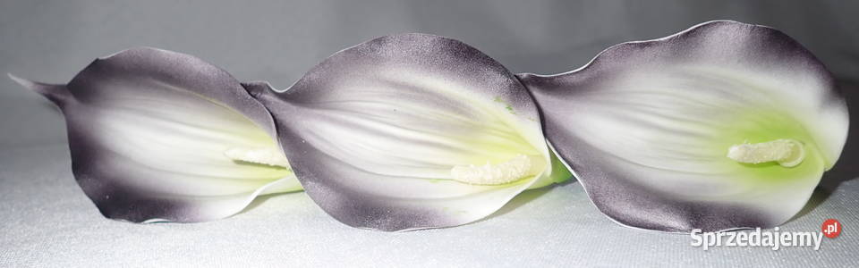 Kalia sztuczna wyrobowa piankowa do bukietów 6 Pozostałe Siewierz sprzedam