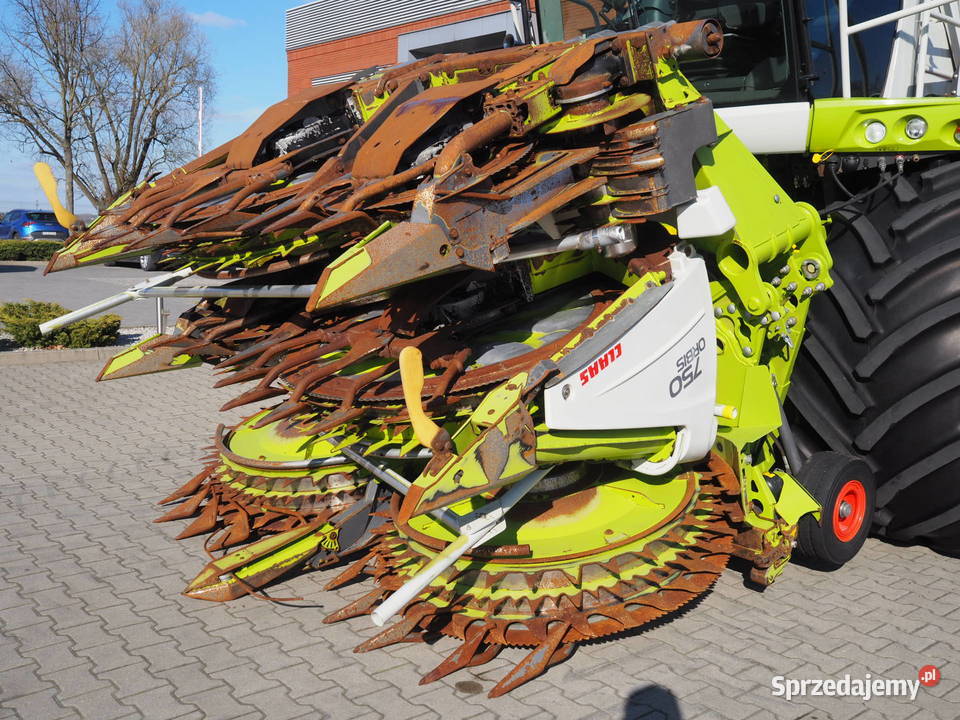 Claas Orbis 750 Przystawka do kukurydzy heder wielkopolskie Stęszew