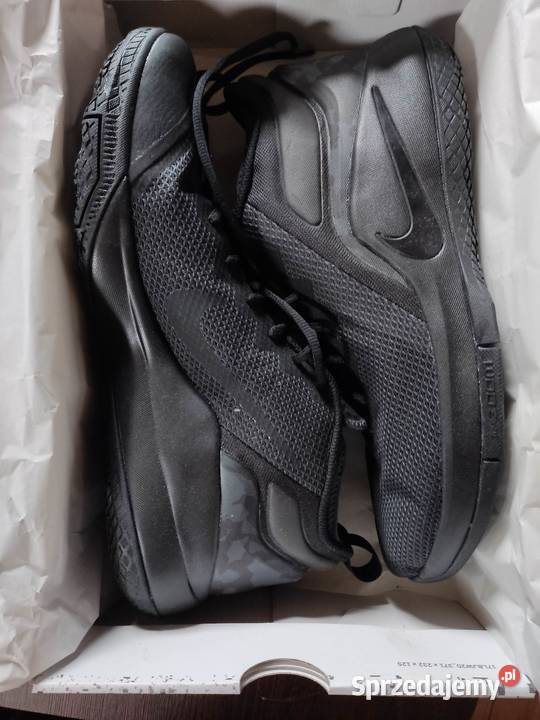nike lebron witness 2 Dobrodzień