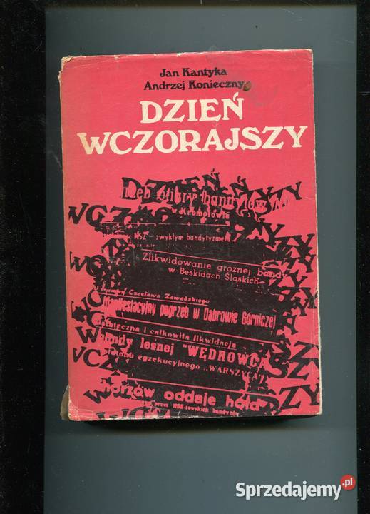 Dzień wczorajszy Kantyka Konieczny miękka z obwolutą zachodniopomorskie Szczecin