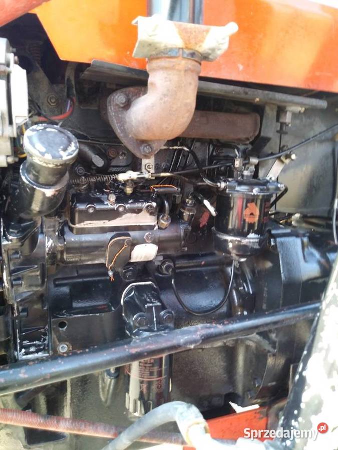 Ursus 3512 mf 255 Sołtyków