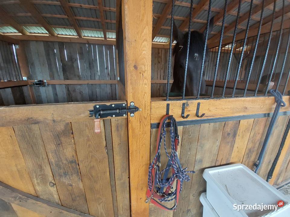 Stajnia do demontażu Dąbrowa Tarnowska