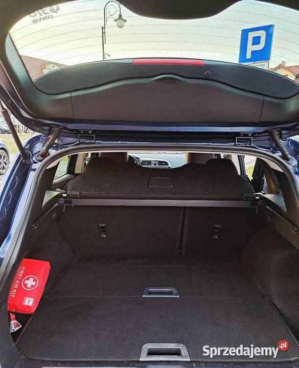 Renault Kadjar 15 dci 110 Automatyczna skrzynia wielkopolskie