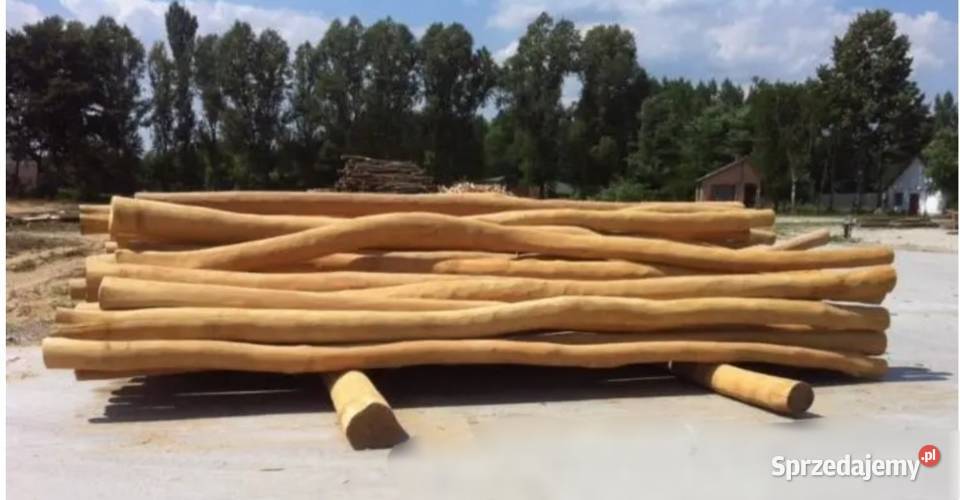 Słupy AkacjowePlantacja Chmielowa