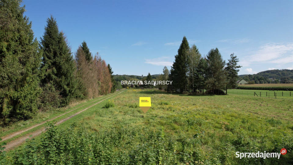 Działka na sprzedaż Roków Rekreacyjna 4350 gaz