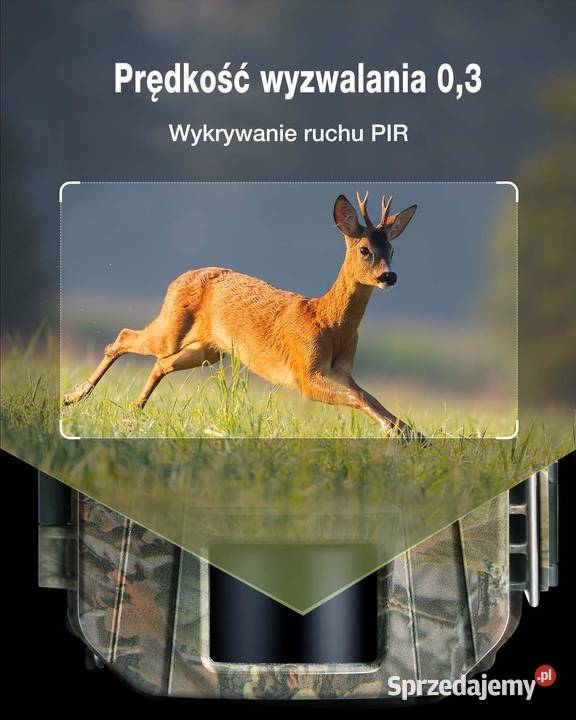 Kamera leśna WOLFANG 48MP 2160p noktowizja IR Rzeszów