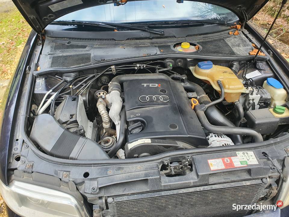 Audi A4 B5 19 TDI AFN Rzyki sprzedam