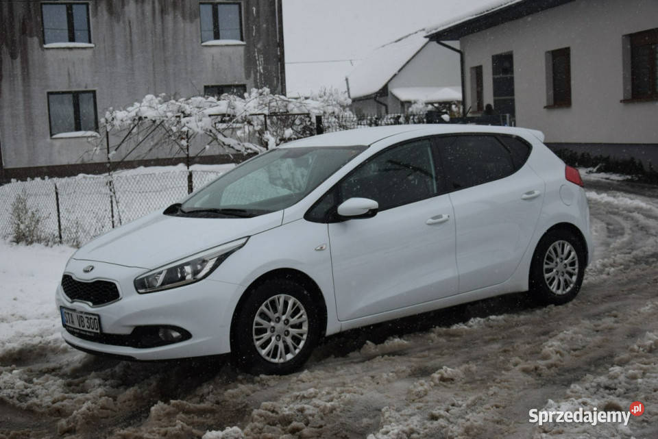Kia Ceed 14B 2015r Kamera 2 Kpl Kół Grzane Majdan Sieniawski sprzedam