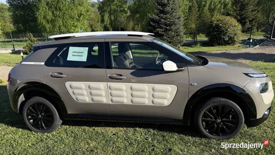 Citron C4 Cactus 12 Benzyna 82 2017r niski Tłuczań