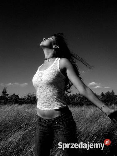 HECHT 3809 KLIMATOR KLIMATYZATOR KLIMATYZACJA Pozostałe Opalenica