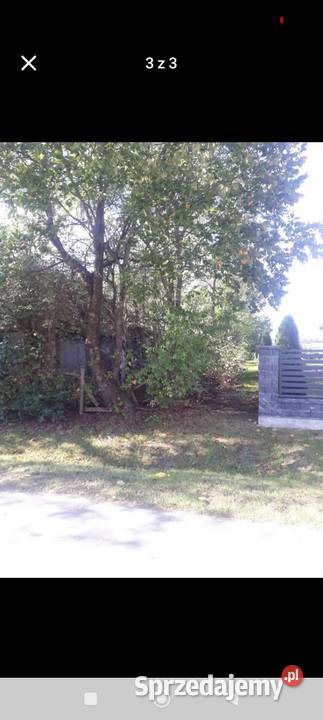 Sprzedam działkę budowlaną w Czemiernikach Nieruchomości Czemierniki