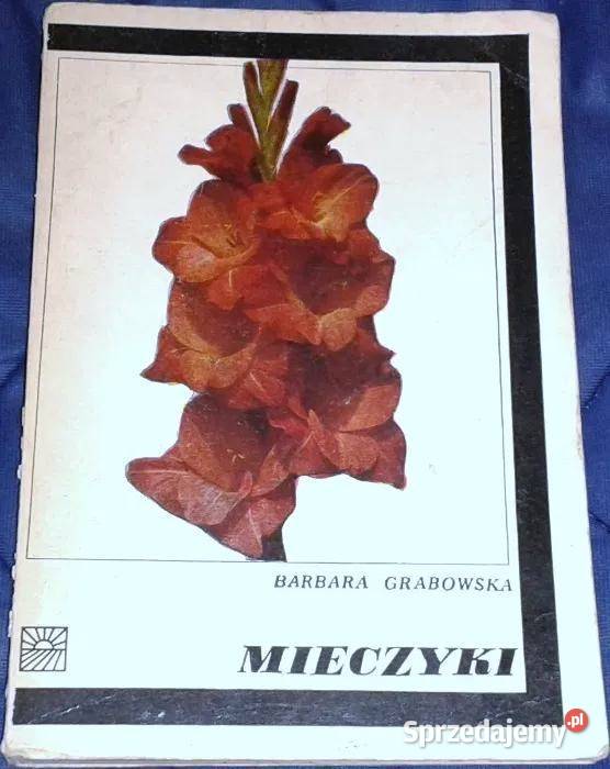 Mieczyki Barbara Grabowska Chełm sprzedam
