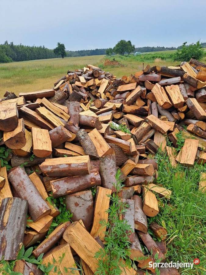 Drewno kominkowe Dąb suche Radom sprzedam