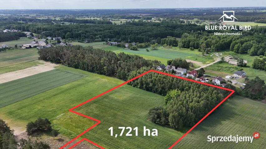 Grunt 17210m2 Ciechocinek 156m Nieruchomości sprzedam