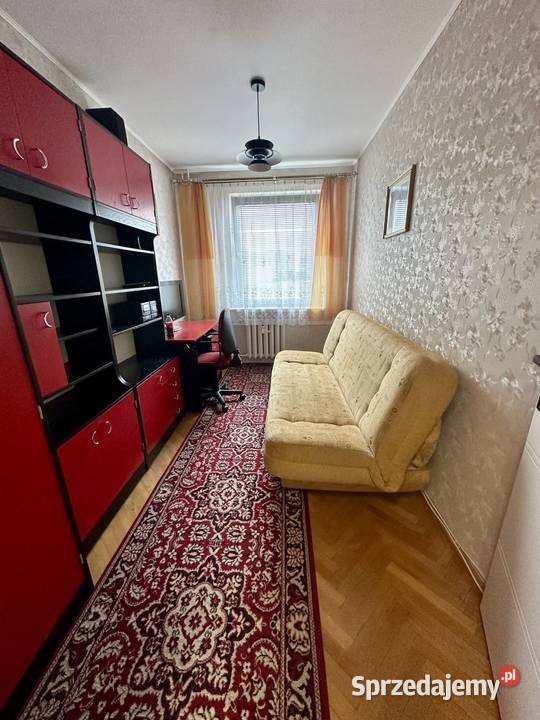 3 pokoje wolne zaraz Gdańsk Zaspa Wynajem sprzedam