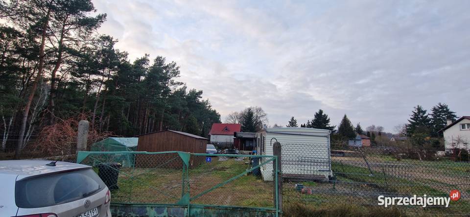 Działka rekreacyjna ROD Drwęca w Lubiczu Dolnym siatka Lubicz Dolny sprzedam