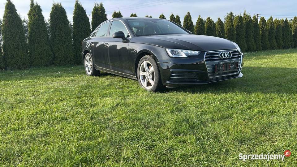 Audi A4 B9 20 TFSI 2019 CD Krapkowice