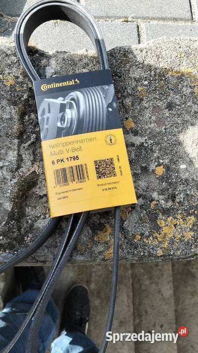 Nowy rozrząd Trafił laguna 2 Rozrząd Tarło-Kolonia