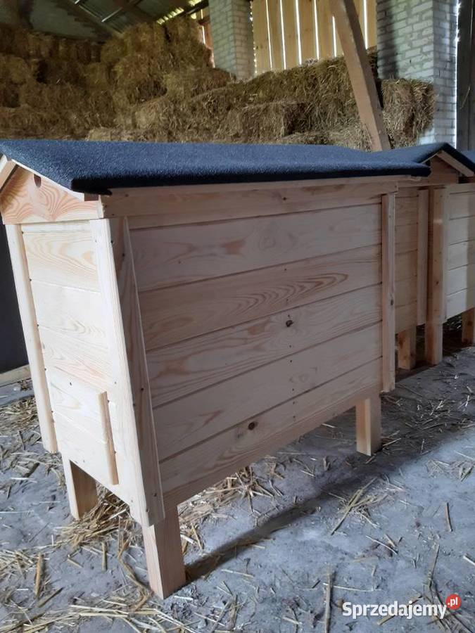 Ule warszawskie Orchowiec