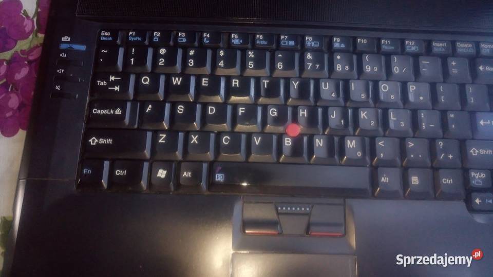 laptop lenovo Thinkpad SL 500 Dmosin