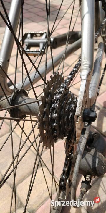 Szybki szosowy rower KS Cycling Root621 Santiago Ostrów Wielkopolski