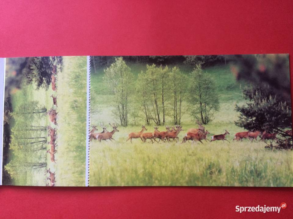 490 6 Widokówek Parków Krajobrazowych