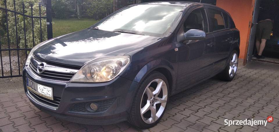 17CDTI Cosmo Skóra Navi OPC Sensory Klima Grzane Złotoryja