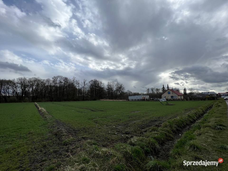 Działka rolna 5600m2 Suserz rolna