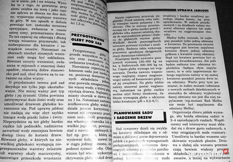 Jabłka w sadzie i kuchni Kazimierz Tomala Hanna Rok wydania 1994 lubelskie
