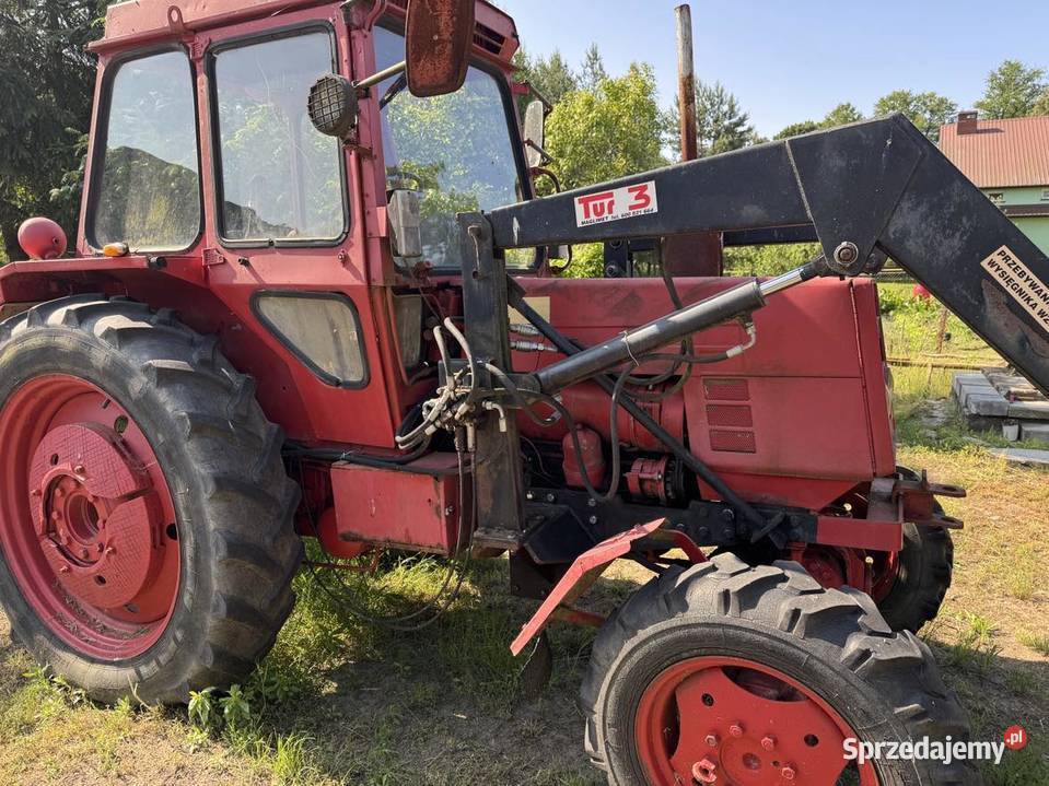 Ciągnik LTZ 55a 4x4 z Turem Gostkowo