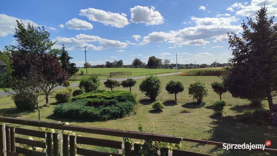 WYJĄTKOWY DOM Z ANTRESOLĄ POD LASEM PRZYBYŁÓW Przybyłów