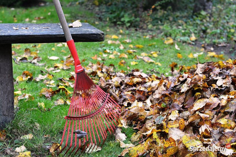 Sprzątanie terenów zielonych działka i ogród