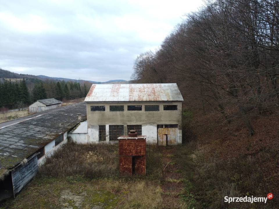 Nieruchomość komercyjna położona w zasięgu DK 28 podkarpackie Hołuczków