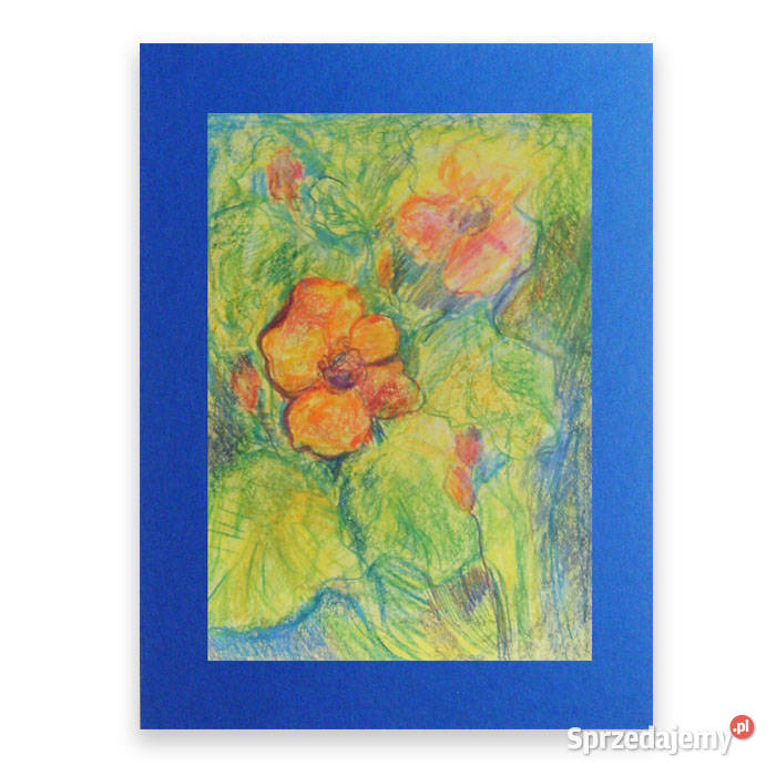 łąka rysunek 30x40 kwiaty rysunek A3 obraz z wielokolorowy Bydgoszcz