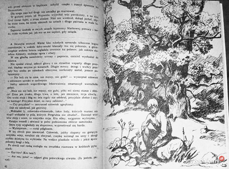 Dewajtis Część 1 Maria Rodziewiczówna Chełm