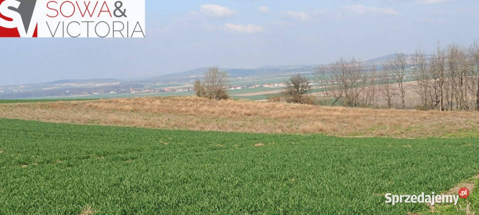 Piękna otoczona lasem działka w Dobromierzu Dobromierz