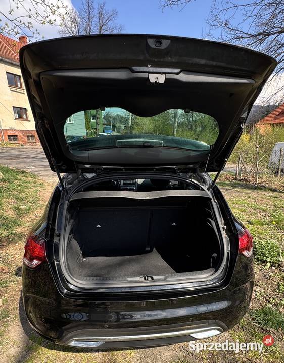 DS 4 16 BlueHDi Automat Topowe DS LED VISION DS 3 Wałbrzych