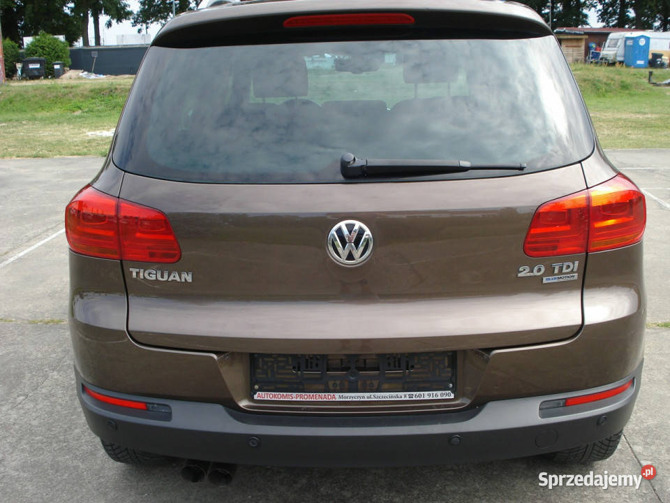 Volkswagen Tiguan Serwis ASOStan idealny I Morzyczyn