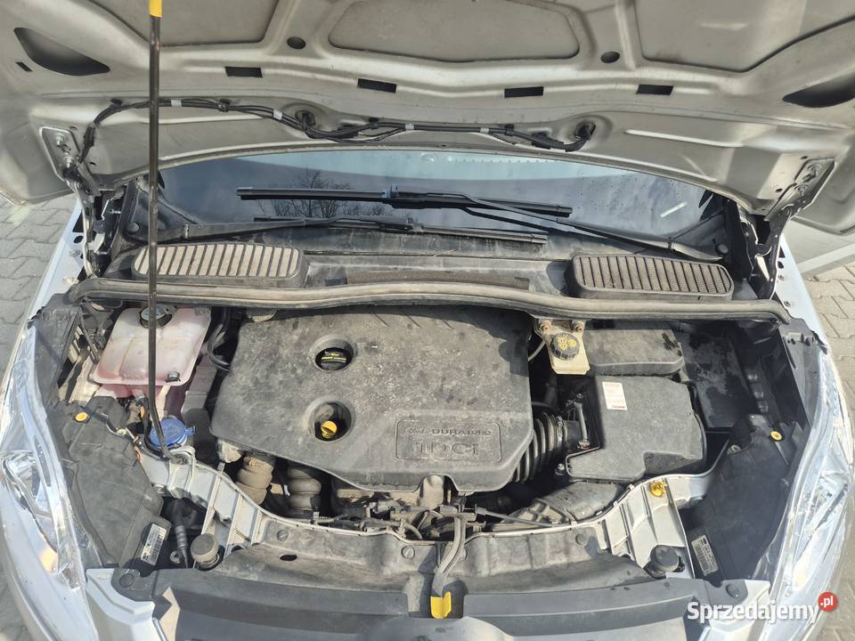 Ford C 16d 116 240 Zadbany 1Właś 2021r diesel Bujaków