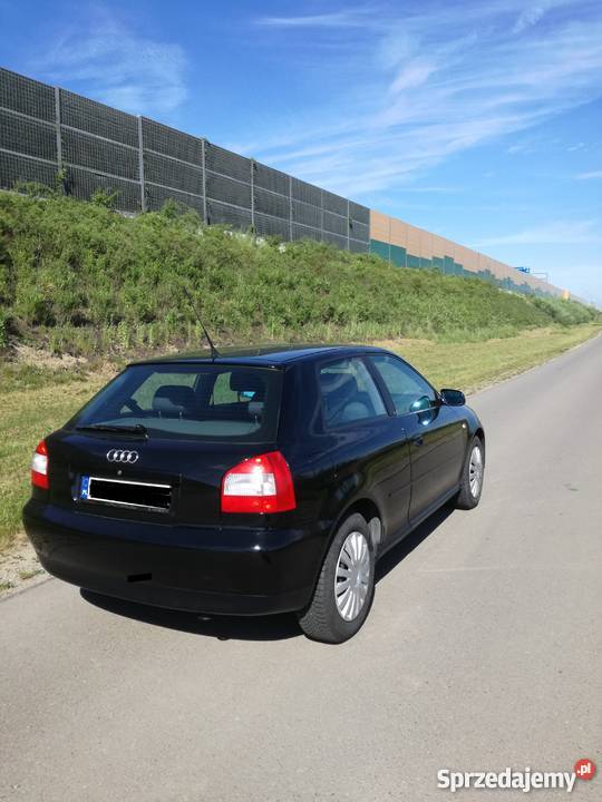 Sprzedam Audi A3 8L 16 BenzynaWart Do negocjacji Rzeszów sprzedam