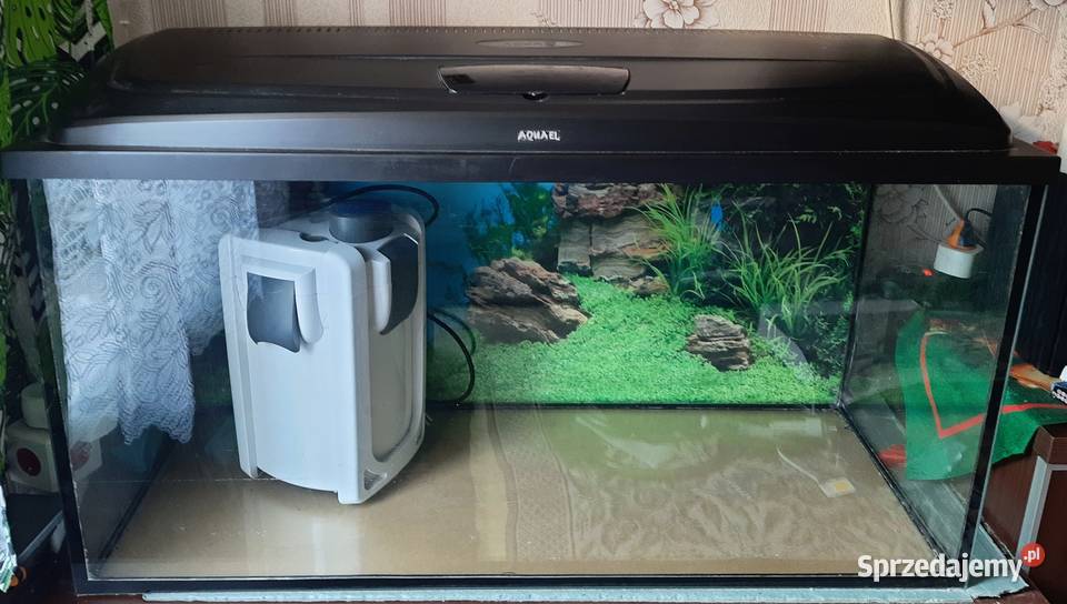 Akwarium sprzedam Ruda Śląska sprzedam