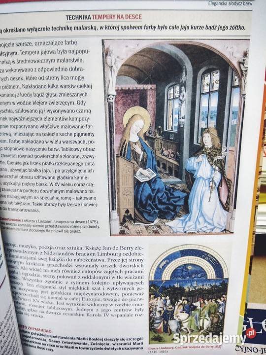 Wiedza o kulturze używane podręczniki szkolne Warszawa