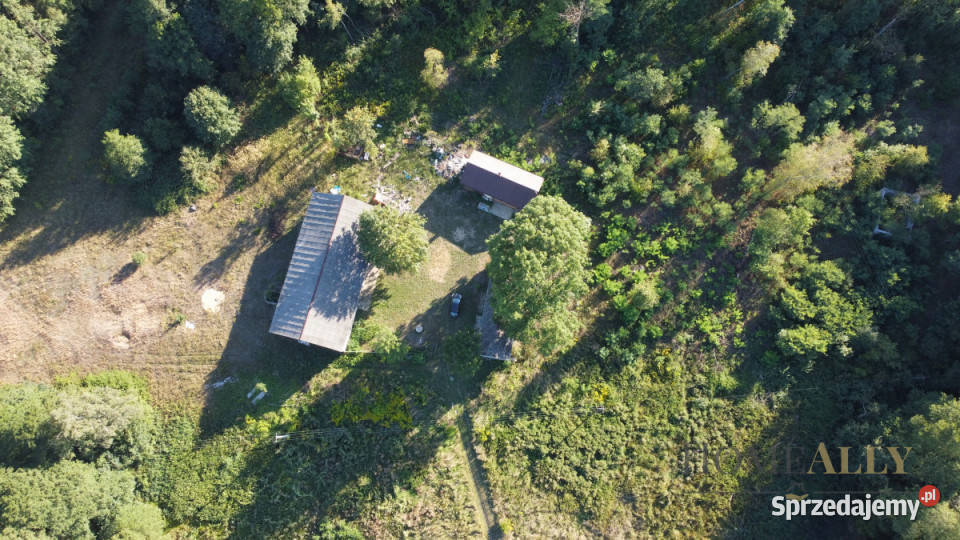Grunt Zazdrość 18150m2 siedliskowa