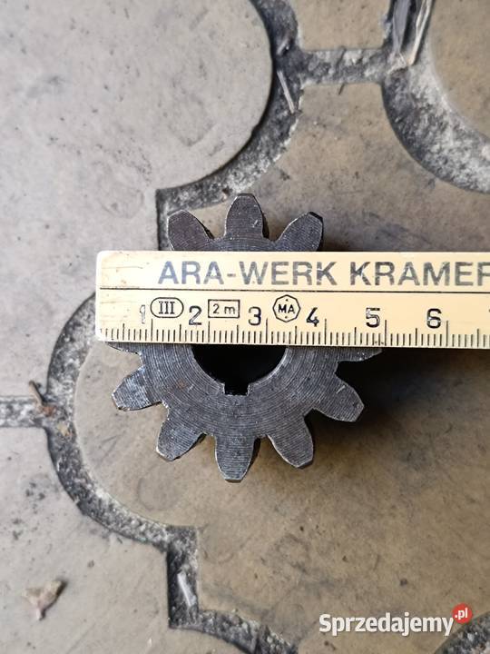 Zębatka mała Przeworno