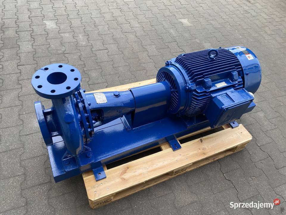 pompa DB 8026 37kW 2955obr Dom i Ogród Pigża