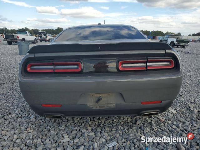 Challenger stx 2018 Stalowa Wola sprzedam